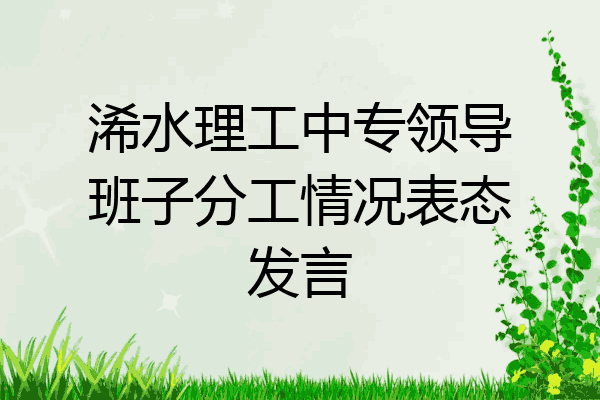 浠水理工中专领导班子分工情况表态发言