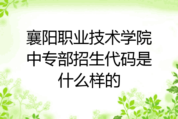 襄阳职业技术学院中专部招生代码是什么样的