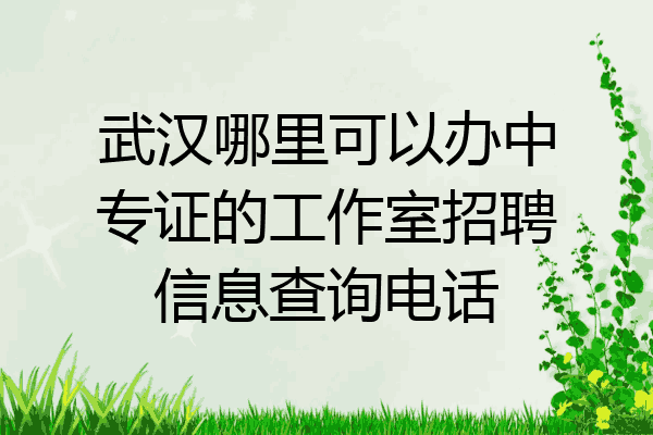武汉哪里可以办中专证的工作室招聘信息查询电话