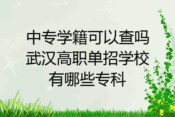 中专学籍可以查吗武汉高职单招学校有哪些专科