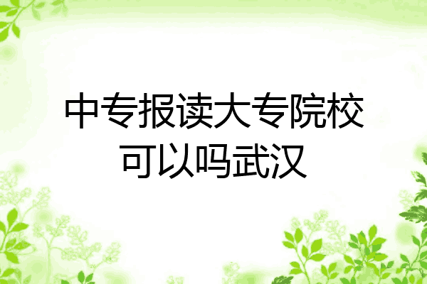 中专报读大专院校可以吗武汉