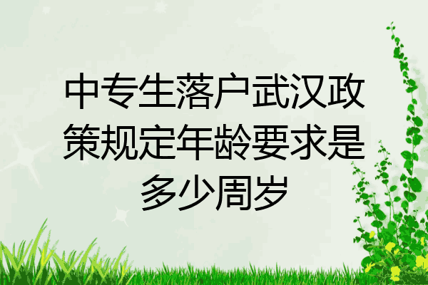 中专生落户武汉政策规定年龄要求是多少周岁