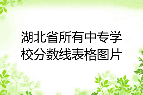 湖北省所有中专学校分数线表格图片