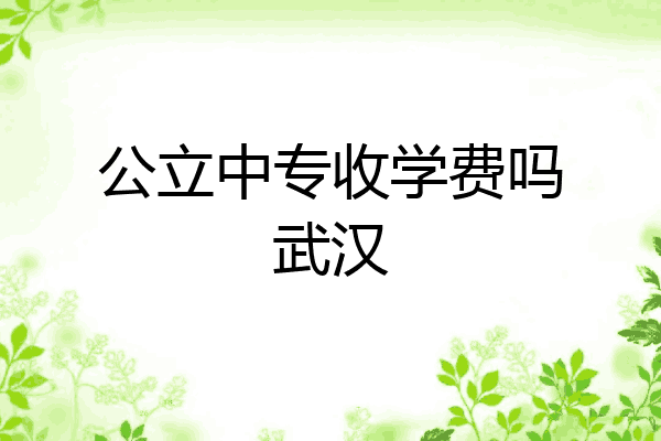公立中专收学费吗武汉
