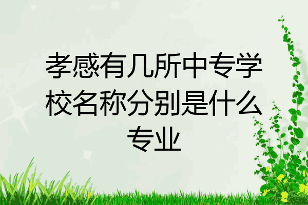 孝感有几所中专学校名称分别是什么专业