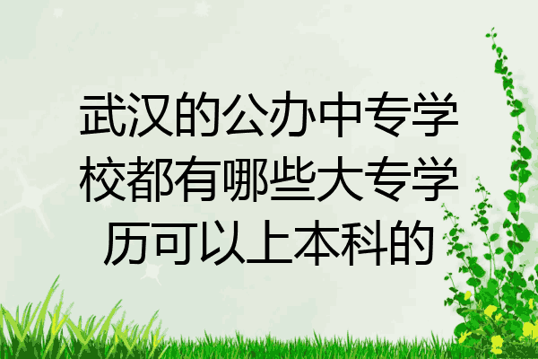 武汉的公办中专学校都有哪些大专学历可以上本科的