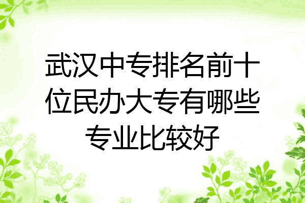 武汉中专排名前十位民办大专有哪些专业比较好