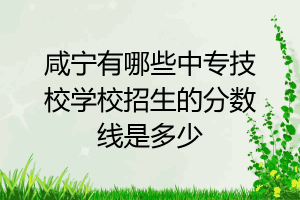 咸宁有哪些中专技校学校招生的分数线是多少
