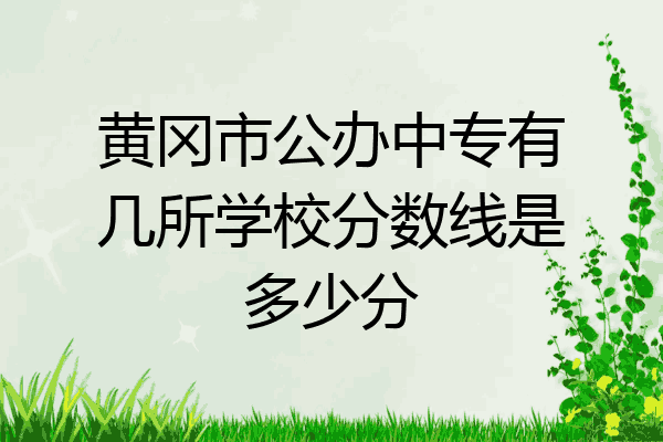 黄冈市公办中专有几所学校分数线是多少分