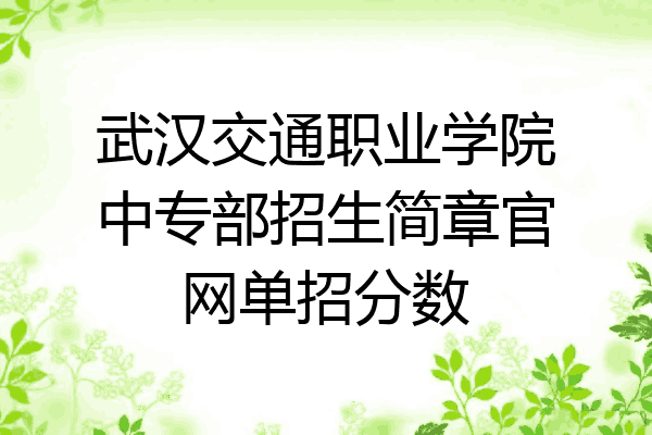 武汉交通职业学院中专部招生简章官网单招分数