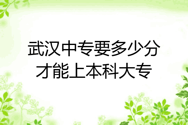武汉中专要多少分才能上本科大专