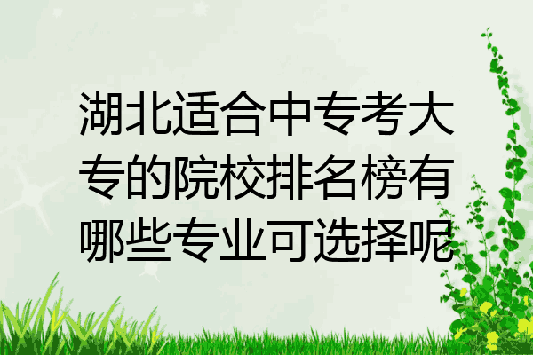 湖北适合中专考大专的院校排名榜有哪些专业可选择呢