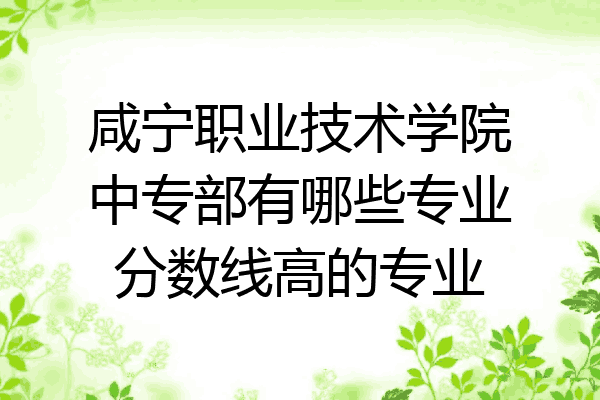 咸宁职业技术学院中专部有哪些专业分数线高的专业