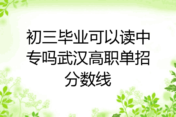 初三毕业可以读中专吗武汉高职单招分数线