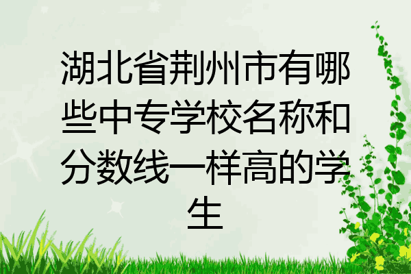 湖北省荆州市有哪些中专学校名称和分数线一样高的学生