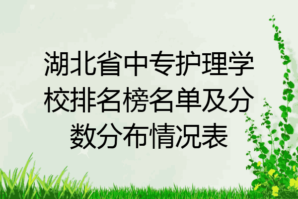 湖北省中专护理学校排名榜名单及分数分布情况表