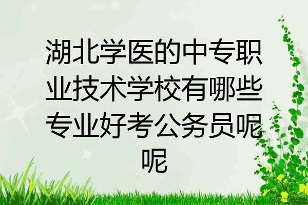 湖北学医的中专职业技术学校有哪些专业好考公务员呢呢