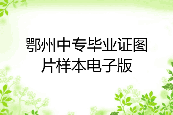 鄂州中专毕业证图片样本电子版