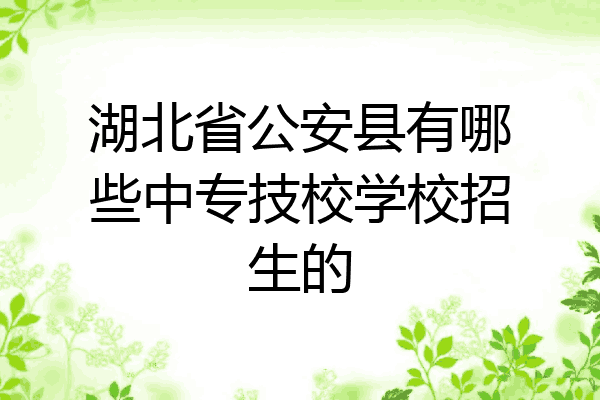 湖北省公安县有哪些中专技校学校招生的