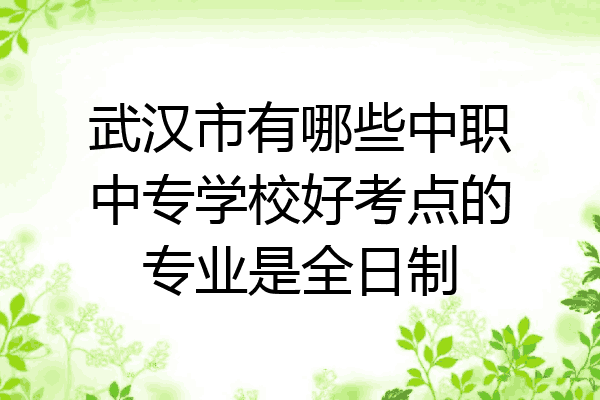武汉市有哪些中职中专学校好考点的专业是全日制