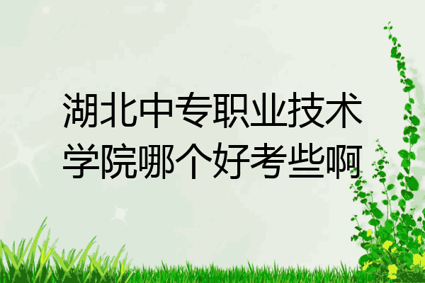 湖北中专职业技术学院哪个好考些啊