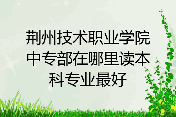 荆州技术职业学院中专部在哪里读本科专业最好