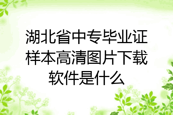 湖北省中专毕业证样本高清图片下载软件是什么