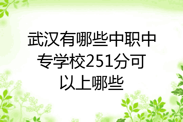 武汉有哪些中职中专学校251分可以上哪些