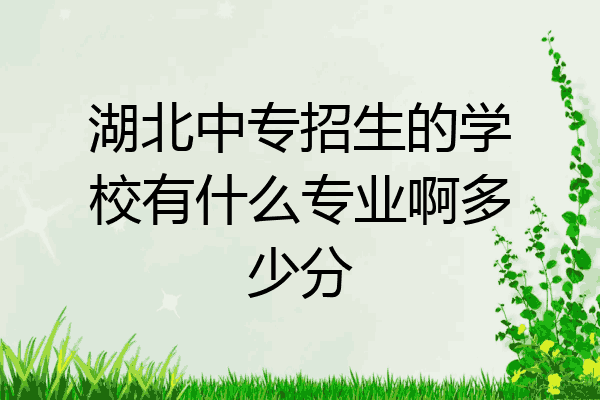 湖北中专招生的学校有什么专业啊多少分