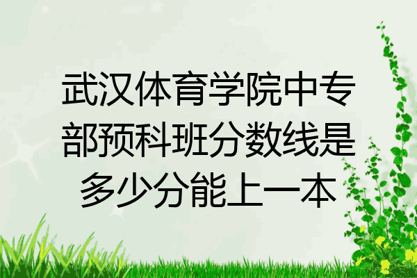 武汉体育学院中专部预科班分数线是多少分能上一本