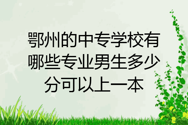 鄂州的中专学校有哪些专业男生多少分可以上一本