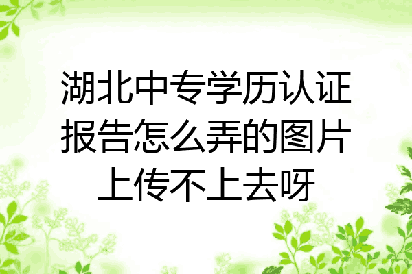 湖北中专学历认证报告怎么弄的图片上传不上去呀