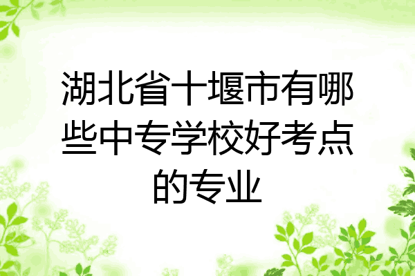 湖北省十堰市有哪些中专学校好考点的专业