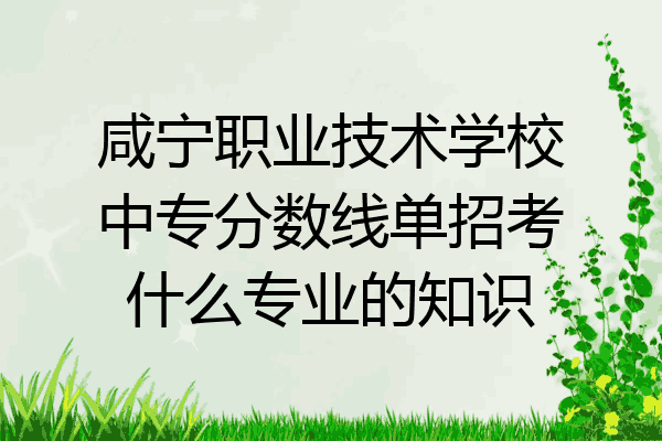 咸宁职业技术学校中专分数线单招考什么专业的知识
