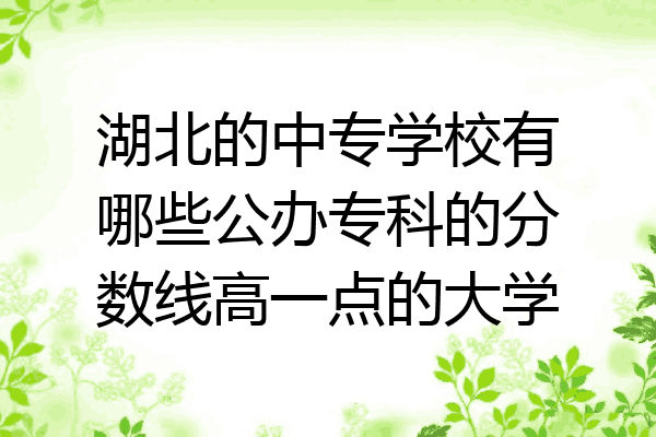 湖北的中专学校有哪些公办专科的分数线高一点的大学