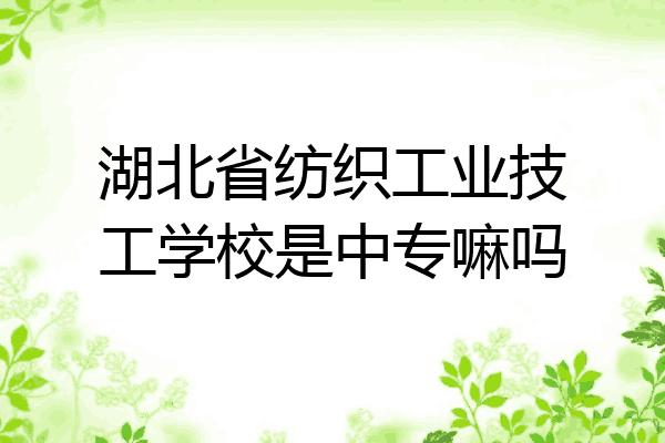 湖北省纺织工业技工学校是中专嘛吗