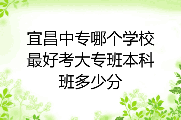宜昌中专哪个学校最好考大专班本科班多少分