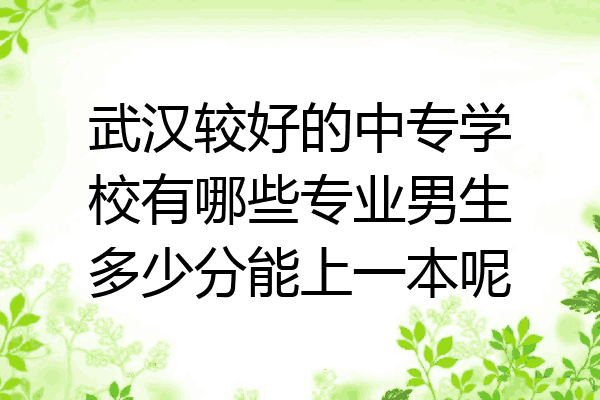 武汉较好的中专学校有哪些专业男生多少分能上一本呢