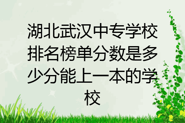 湖北武汉中专学校排名榜单分数是多少分能上一本的学校