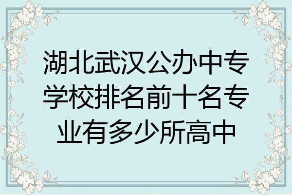 湖北武汉公办中专学校排名前十名专业有多少所高中
