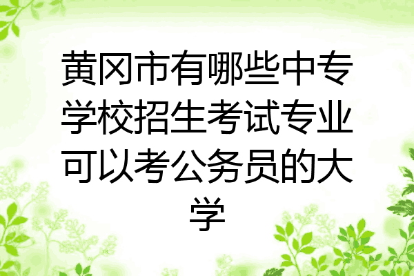 黄冈市有哪些中专学校招生考试专业可以考公务员的大学