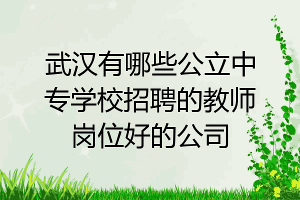 武汉有哪些公立中专学校招聘的教师岗位好的公司