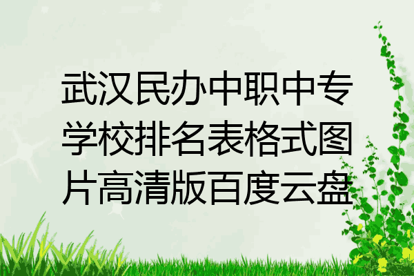 武汉民办中职中专学校排名表格式图片高清版百度云盘