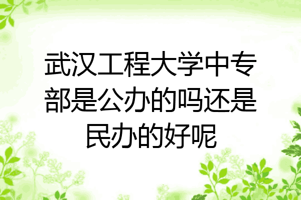 武汉工程大学中专部是公办的吗还是民办的好呢
