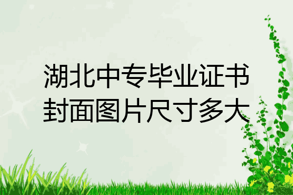 湖北中专毕业证书封面图片尺寸多大