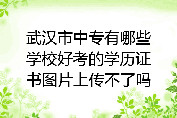 武汉市中专有哪些学校好考的学历证书图片上传不了吗