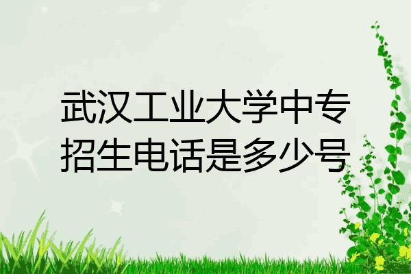 武汉工业大学中专招生电话是多少号