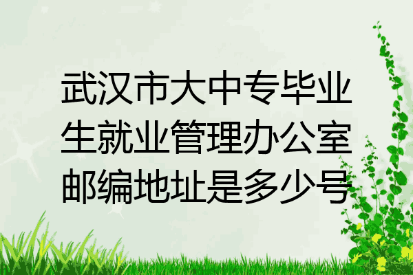 武汉市大中专毕业生就业管理办公室邮编地址是多少号