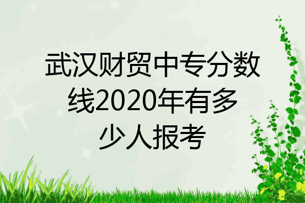 武汉财贸中专分数线2020年有多少人报考