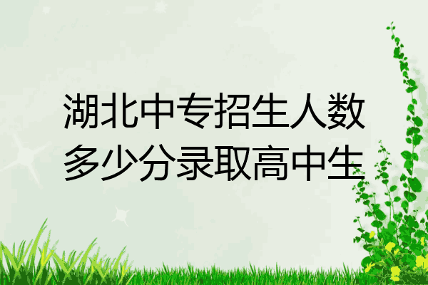 湖北中专招生人数多少分录取高中生
